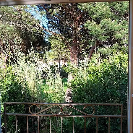 Bed & Breakfast La Begude - Boutique